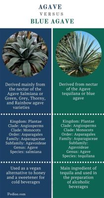  Agave: Uma Planta-Milagre para a Produção de Bioplásticos e Adoçantes Naturais?