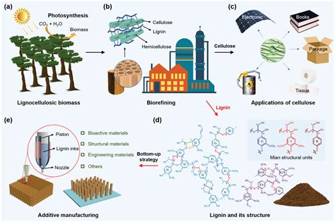 Lignin: Desvendando as Aplicações Industriais deste Polímero Natural Multifacetado!