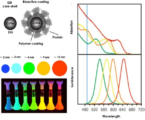  Quantum Dots: Revolucionando a Optoeletrônica e a Bioimagem com Nanopartículas Luminosas!