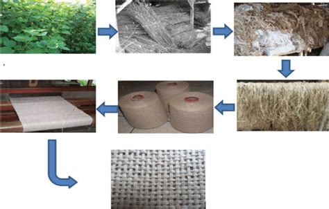 Reforço de Fibra de Ramie: O Material Natural que está Transformando a Indústria Aeroespacial!