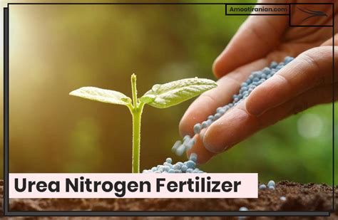 Ureia: Um Olhar Profundo sobre este Fundamental Fertilizante Nitrogenado!